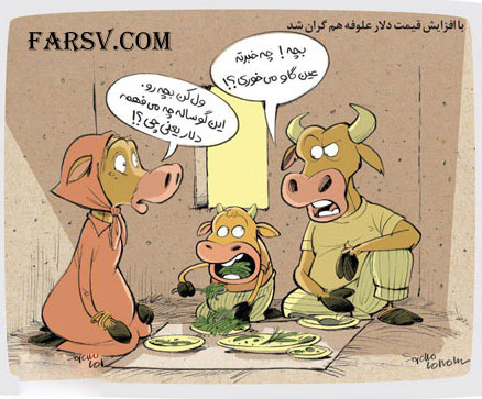 افزایش قیمت علوفه با افزایش دلار (کاریکاتور) افزایش نرخ دلار