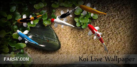 پس زمینه آکواریوم برای موبایل