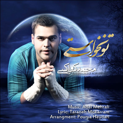 دانلود آهنگ جدید محمد کواکبی به نام تو نخواستی