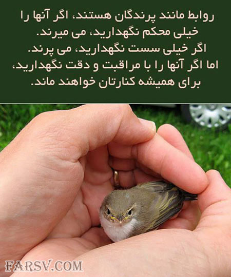 جملات تصویری الهام بخش