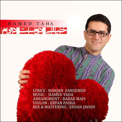 دانلود آهنگ جدید حامد طاها به نام خیلی دوست دارم