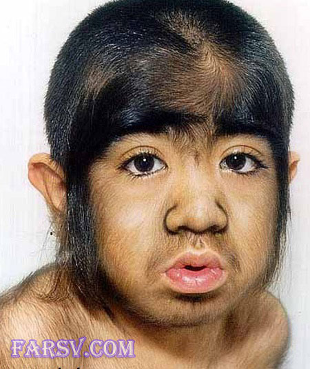 پرموترین انسان ها