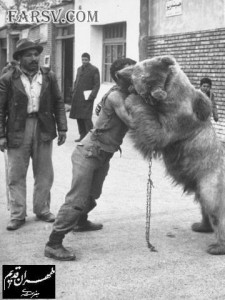 تصاویر کم نظیر و دیده نشده از طهران قدیم عکس های تهران قدیم