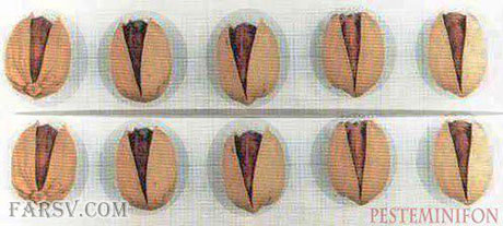 پسته مینافون