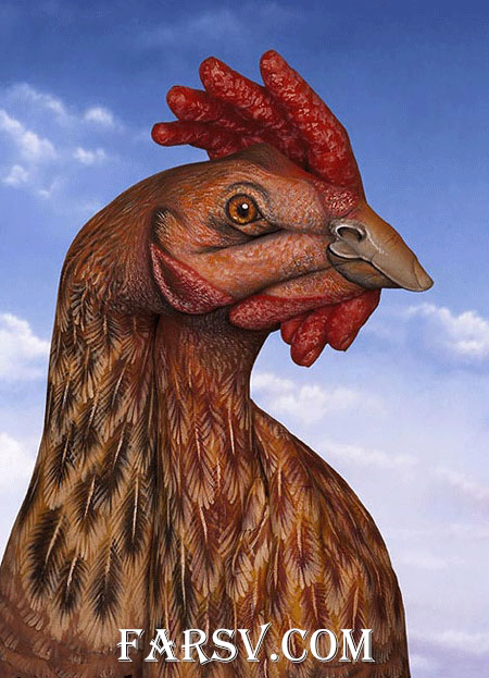 نقاشی و هنرنمایی روی دست