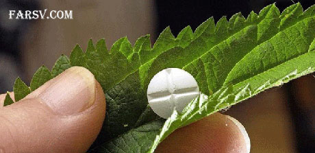 خواص گیاهان دارویی