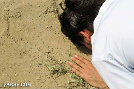 فواید و معجزه های سجده بر خاک فواید سجده بر خاک