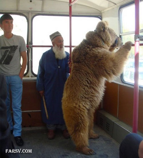 عکس های خنده دار