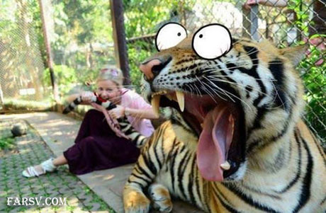 عکس های خنده دار