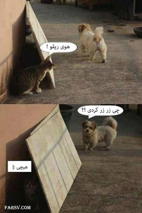 عکس های خنده دار