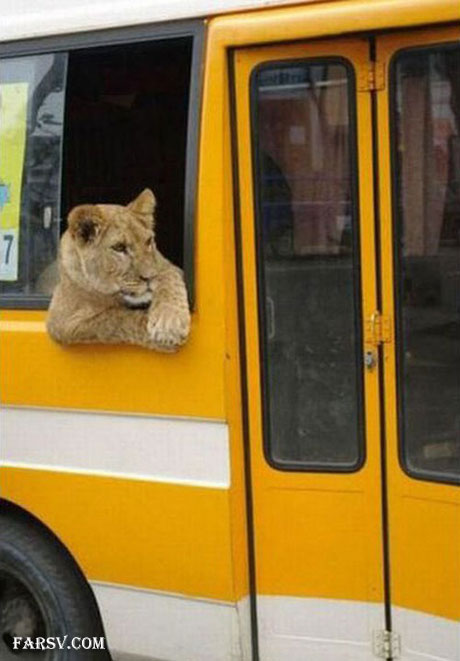 عکس های خنده دار