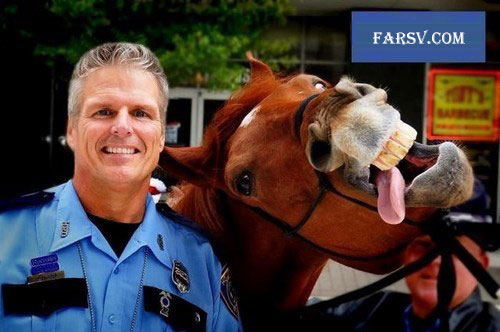 عکس های خنده دار