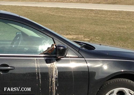 عکس های خنده دار