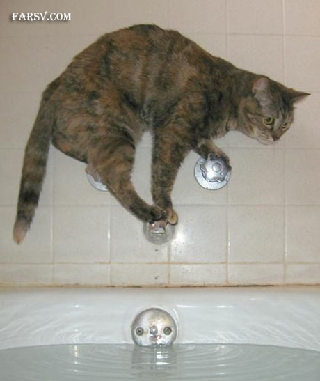 عکس های خنده دار