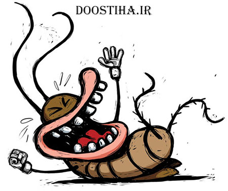 دیدگاه دانشجویان مختلف درباره ی سوسک! (طنز) نظرات دانشجویان درباره سوسک