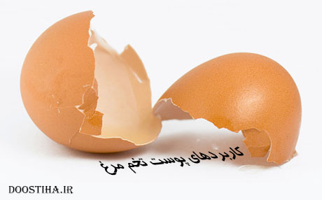 کاربردهای پوست تخم مرغ