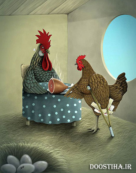 فداکاری یک مرغ