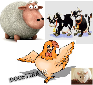 داستان کوتاه و تاثیر گذار با عنوان مشکل دیگران! داستان کوتاه و تاثیر گذار