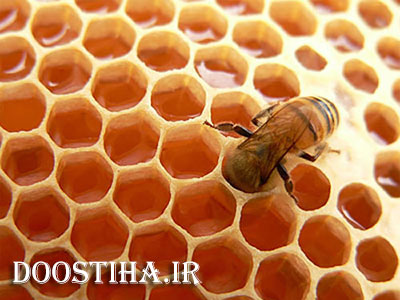 درمان بی خوابی با خوردن عسل