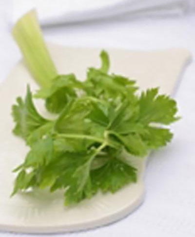 درمان فشار خون با مصرف کرفس