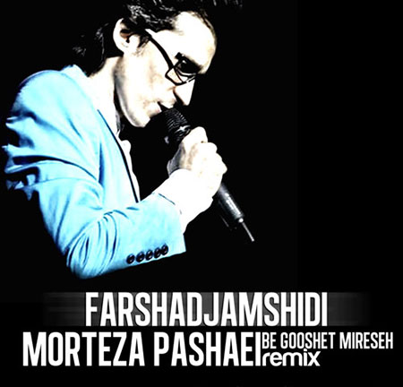 دانلود رمیکس آهنگ مرتضی پاشایی به نام به گوشت میرسه