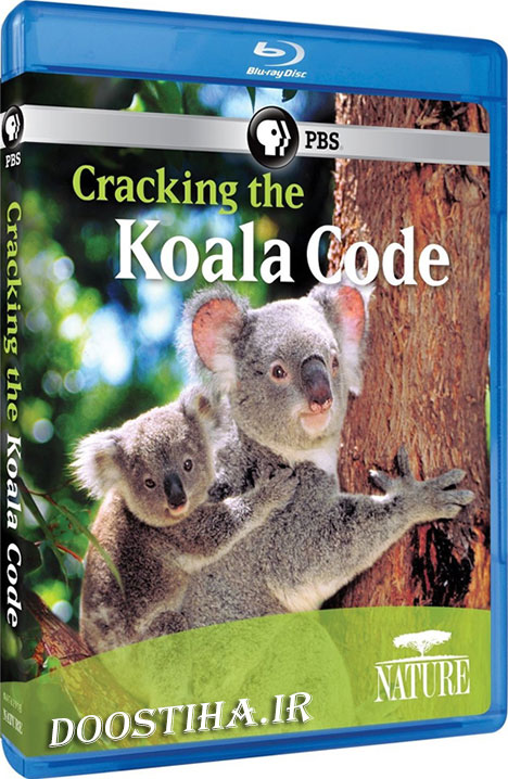 دانلود مستند زندگی کوآلا Cracking the Koala Code 2012 PBS - Nature: Cracking the Koala Code