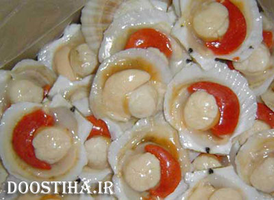 بهبود عملکرد معز با مصرف صدف خوراکی