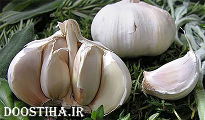 درمان سرما خوردگی به مصرف سیر