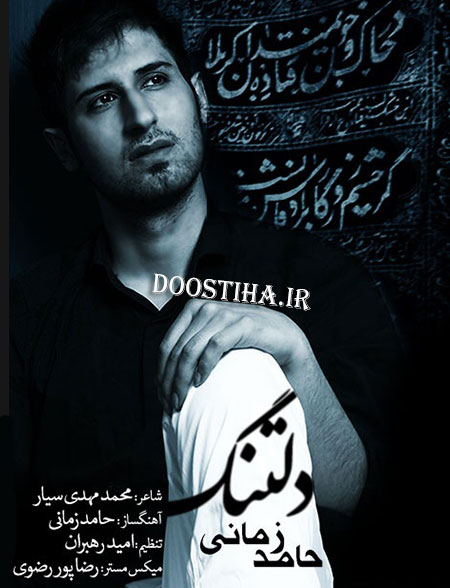 دانلود ترانه جدید حامد زمانی به نام دلتنگ