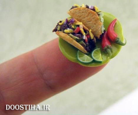 تصاویر جالب و دیدنی از زندگی مینیاتوری زندگی مینیاتوری