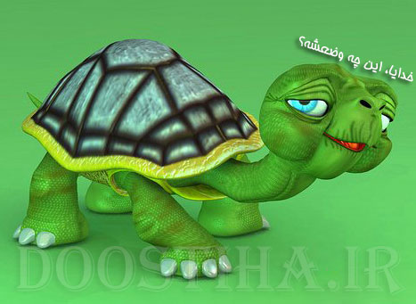 داستان کوتاه و جالب دلخوری لاک پشت از خدا دلخوری لاک پشت از خدا و پاسخ خدا به او