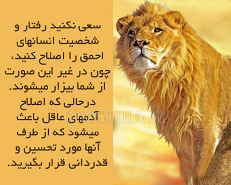 جملات زیبا و الهام بخش برای زندگی