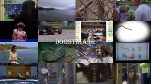 دانلود قسمت اول مستند باهوش ترین حیوانات