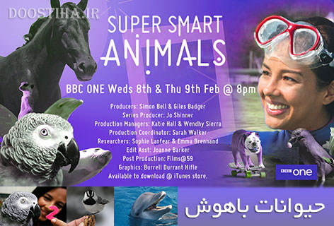دانلود مستند باهوش ترین حیوانات Super Smart Animals 2012 دانلود مستند حیوانات باهوش Super Smart Animals 2012