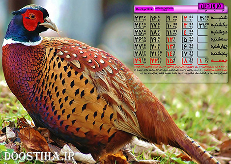 دانلود تقویم پی دی اف سال 1393