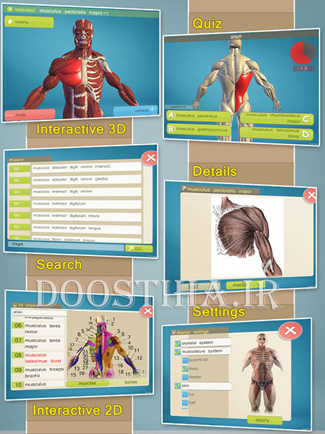 یادگیری آناتومی بدن انسان با اپلیکیشن Easy Anatomy 3D