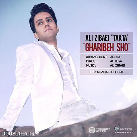 دانلود آهنگ جدید علی تکتا به نام غریبه شو