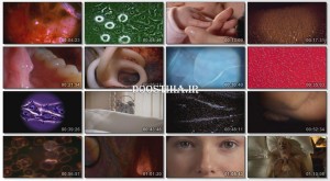 Inside The Living Body 2010