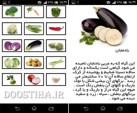 دانلود نرم افزار فارسی خواص سبزیجات برای اندروید