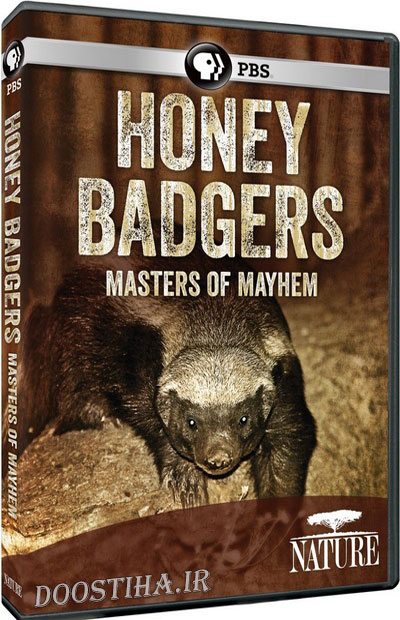 PBS Nature - Honey Badgers: Masters of Mayhem 2014