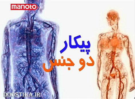 دانلود مستند علمی پیکار دو جنس با دوبله فارسی دانلود مستند پیکار دو جنس