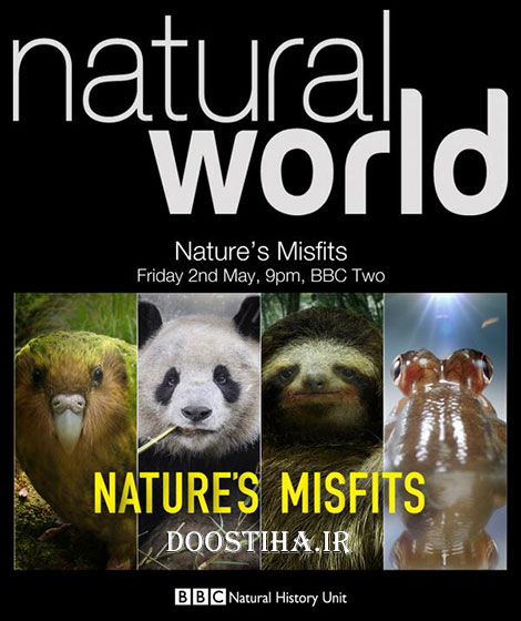 دانلود مستند حیوانات غیرطبیعی BBC Natural World Nature's Misfits BBC Natural World Nature's Misfits