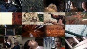 بدن انسان در تنگنا؛ احساس