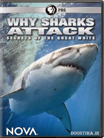 NOVA Why Sharks AttacK 2014