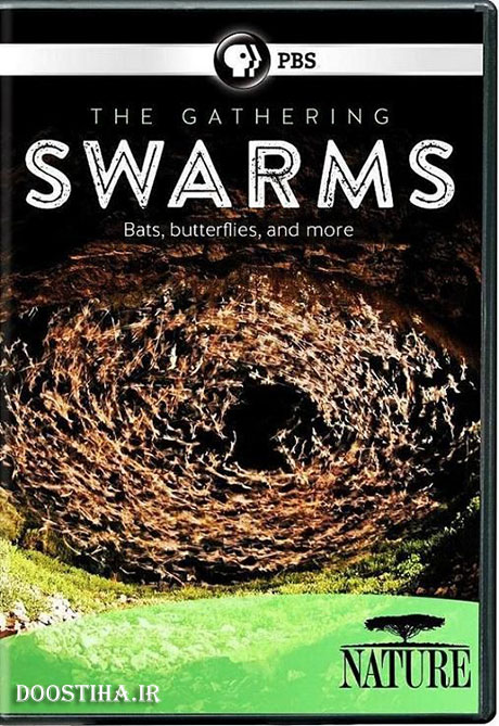 دانلود مستند اجتماع حشرات The Gathering of Swarms 2014 دانلود مستند اجتماع حشرات The Gathering of Swarms 2014