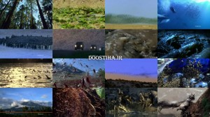 The Gathering of Swarms 2014