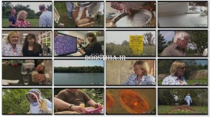 The Wonder of Bees 2014