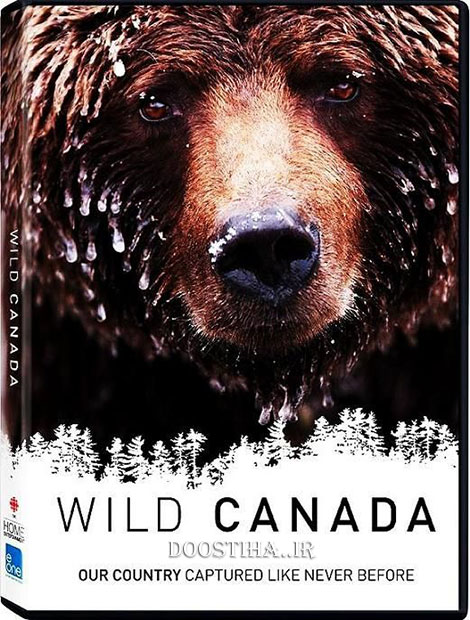 حیات وحش کانادا Wild Canada 2014