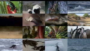 دانلود قسمت اول مستند حیات - چالش های زندگی