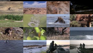 دانلود قسمت هفتم مستند حیات - شکار و شکارچیان